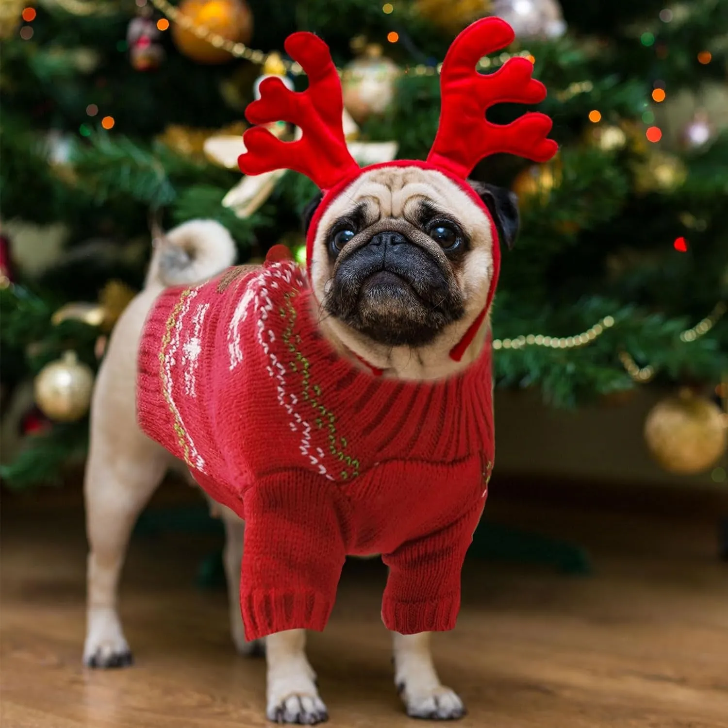 Festive Red Reindeer Dog Sweater