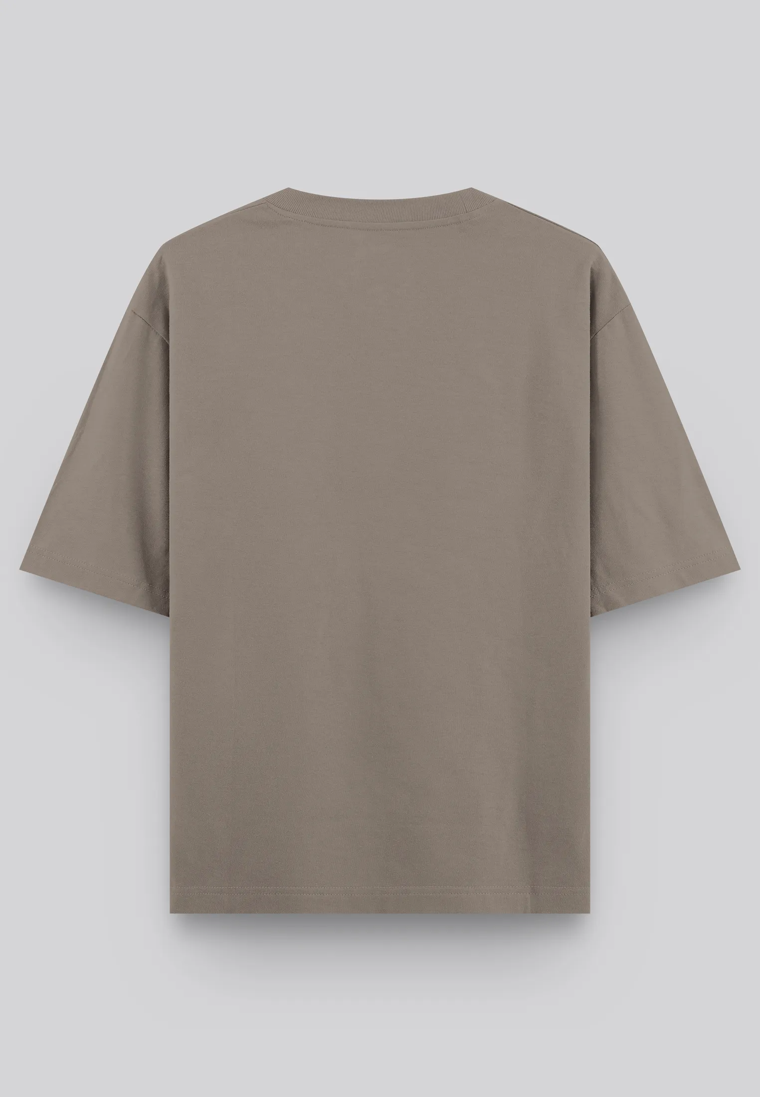 HEAVYWEIGHT BLOCK T-SHIRT DESERT TAUPE